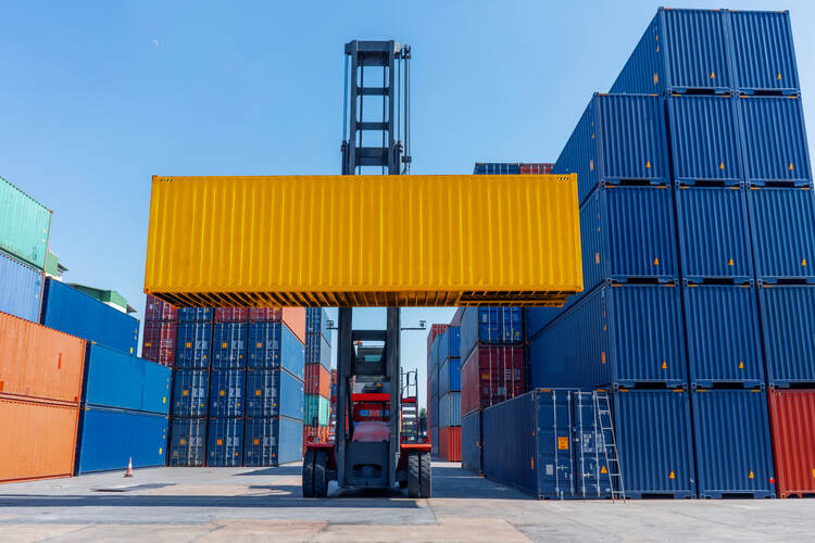 Best Practices Applied for Different Cargo Types in Container Transportation